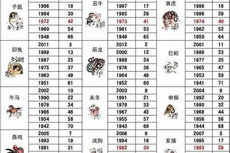 1992属|92年属什么生肖 92年生肖和什么属相最配